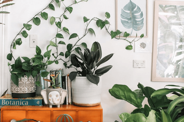 Five ways to make your home greener
